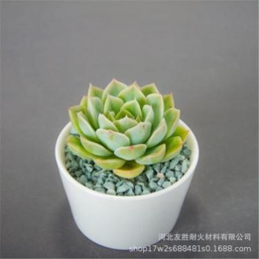 廠家 多肉綠沸石顆粒 沸石濾料 凈化水質綠沸石