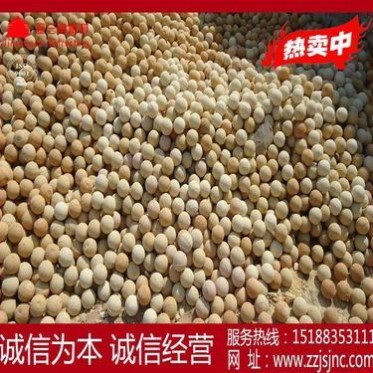 生產熱風爐用各種型號耐火球、高強度耐火球、高鋁球新密保溫材料