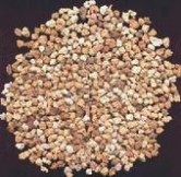 內蒙古包頭供應鎂砂鎂粉鎂磚